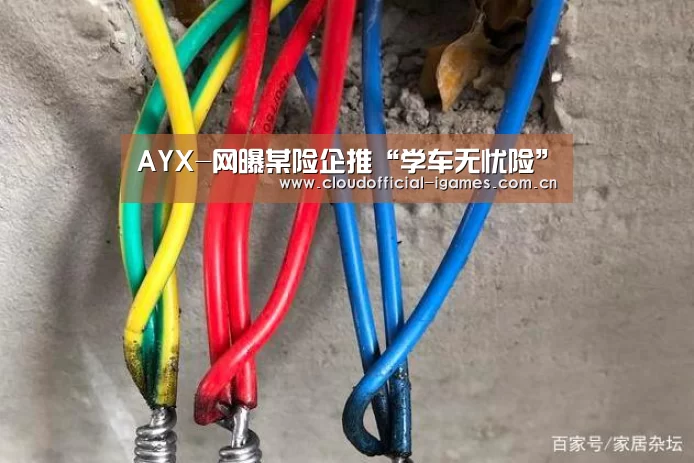 AYX-网曝某险企推“学车无忧险”(图1) AYX-网曝某险企推“学车无忧险”(图1)
