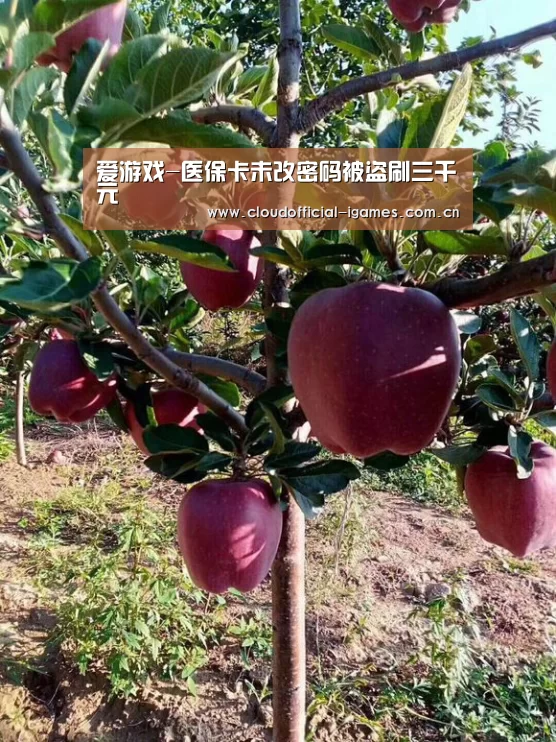 爱游戏-医保卡未改密码被盗刷三千元(图3) 体育手机端APP