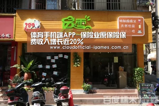 体育手机端APP-保险业原保险保费收入增长近20%(图1) 体育手机端APP-保险业原保险保费收入增长近20%(图1)
