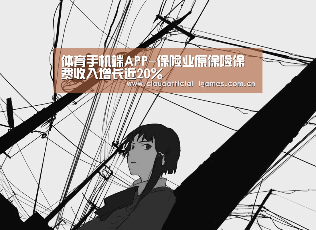 体育手机端APP-保险业原保险保费收入增长近20%(图2) 爱游戏
